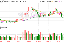 恒帅股份：公司已拥有数量较多的优质新能源汽车相关客户-紫竹林-程序员中文网