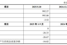 康达新材加码海外产能布局 向泰国控股子公司增资 4 亿泰铢-紫竹林-程序员中文网