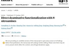 破解百年应用难题：国科大杭高院提出芳香胺直接转化新技术告别危险中间体，成果登上《自然》-紫竹林-程序员中文网