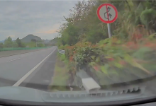 高速上开车直接冲进绿化带致车辆报废 男子：当时在点歌-紫竹林-程序员中文网