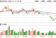比亚迪：助力新能源汽车产业高质量发展-紫竹林-程序员中文网