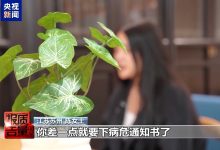 “转运蛋白”“暴瘦王”？减肥不成险丧命！起底“网红”减肥针-紫竹林-程序员中文网