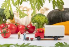 生鲜电商竞争从规模转向供应链-紫竹林-程序员中文网