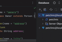 使用数据库工具进行高效数据查询的 10 大 IntelliJ IDEA 快捷方式-紫竹林-程序员中文网
