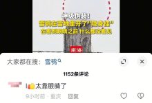 雪鸮在雪地里开了“隐身挂” 网友：新一代隐形战机有代号了-紫竹林-程序员中文网