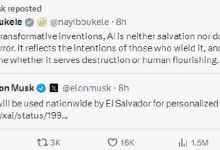 马斯克宣布xAI将在萨尔瓦多推出全球首个全国性AI教育项目-紫竹林-程序员中文网