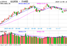 快讯：创指早盘高开高走涨逾1%  中际旭创、天孚通信、东田微股价创历史新高-紫竹林-程序员中文网