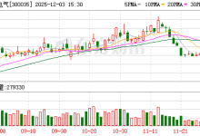 中科电气：公司计划在阿曼实施年产20万吨锂离子电池负极材料一体化基地项目-紫竹林-程序员中文网