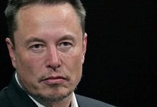 马斯克怒了：“欧盟应该被废除”-紫竹林-程序员中文网