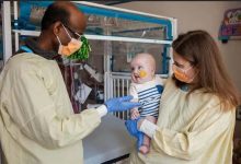 6个月婴儿绝症生还!基因编辑如此用才是正道-紫竹林-程序员中文网