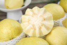 小红书出片率100%！收割少女心的“穷人果子” 价格翻20倍-紫竹林-程序员中文网