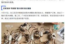 用 AI 合成死螃蟹视频骗退款 195 元，买家被行拘 8 日-紫竹林-程序员中文网