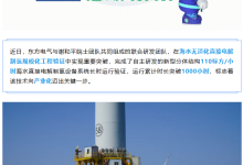 1000 小时连续运行,海水直接电解制氢实现新突破-紫竹林-程序员中文网