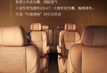 零跑 D19 车型更多内饰细节公布：半苯胺头层真皮、25m² 软包等-紫竹林-程序员中文网