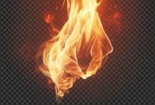 2分钟烧到100℃：警惕插线板用电“雷区”-紫竹林-程序员中文网