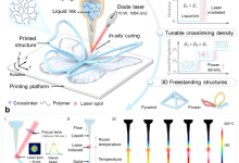 速度创世界纪录:厦大突破热固材料 3D 打印技术,从 48 小时压缩至 0.25 秒-紫竹林-程序员中文网