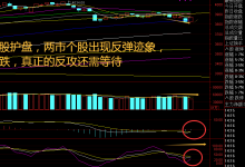 指数终于上涨了!工业金属与贵金属共振,跨年行情布局正当时-紫竹林-程序员中文网