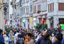 海南封关满月，旅居三亚的游艇迷想开个造船厂-紫竹林-程序员中文网