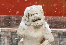 瑞雪兆丰年!雪中故宫,来了→-紫竹林-程序员中文网