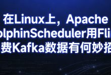 Linux 环境下,Apache DolphinScheduler 如何驱动 Flink 消费 Kafka 数据?-紫竹林-程序员中文网