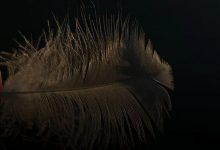 第一批自制羽绒服的年轻人，已破防-紫竹林-程序员中文网