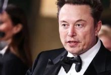 16亿只是保底，马斯克想给朱晓彤的是100亿-紫竹林-程序员中文网