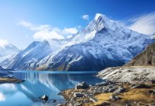 极寒催化天然气期货疯涨70%！A股天然气板块同步拉升-紫竹林-程序员中文网