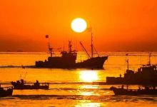 太空光伏火了！马斯克联手贝莱德冲刺100GW，低轨卫星+AI算力刚需爆发！-紫竹林-程序员中文网