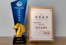 肩负荣誉、背负责任,佐西卡为推动大屏视听行业高质量发展贡献力量-紫竹林-程序员中文网