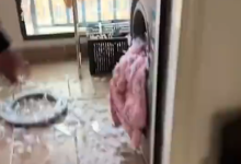 羽绒服如此洗可能会爆炸 涂层阻碍气体排出压力骤升-紫竹林-程序员中文网