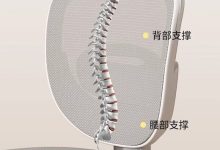 智优奇儿童学习椅143元抢-紫竹林-程序员中文网