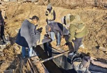 报告解读丨北京正在进行的全国文物“四普”，有哪些重磅新发现？-紫竹林-程序员中文网