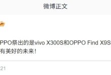 小米 17 Max、vivo X300s、OPPO Find X9s 系列手机被曝 3-4 月发布-紫竹林-程序员中文网