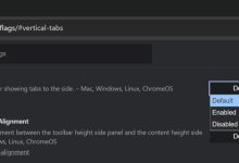 谷歌 Chrome 浏览器 145 版本测试垂直标签页,功能待完善-紫竹林-程序员中文网