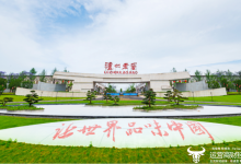 泸州老窖拟中期分红约20亿元 总经理林锋的贡献更大-紫竹林-程序员中文网