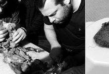 狼胃里发现罕见DNA-紫竹林-程序员中文网