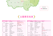 菏泽牡丹、漳州水仙进京,北京2100万盆年宵花将陆续上市-紫竹林-程序员中文网