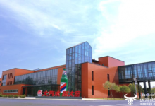 卫龙前CEO孙亦农跳槽大窑  曾获年薪2349.3万还舍得走？-紫竹林-程序员中文网