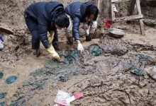 报告解读丨将推进申遗的琉璃河遗址，有何来头？-紫竹林-程序员中文网