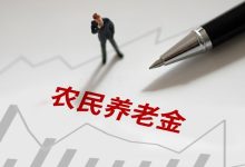 提高农民养老金，不能只靠个人缴费“抬上限” | 新京报社论-紫竹林-程序员中文网