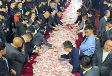 河南矿山出价1元1枚 养鸡夫妻36万枚鸡蛋卖出36万元！-紫竹林-程序员中文网