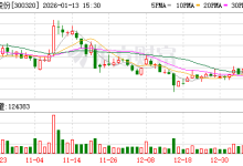 海达股份：公司的汽车用产品没有直接向特斯拉汽车供货-紫竹林-程序员中文网