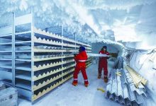 特朗普盯上格陵兰岛，科学家签名抗议-紫竹林-程序员中文网