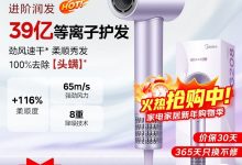 新年特惠!美的 FG208 紫吹风机满减后 169 元还享补贴-紫竹林-程序员中文网