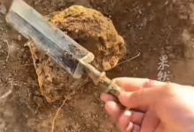 男子挖出战国青铜剑文物 上交博物馆后获奖200元-紫竹林-程序员中文网