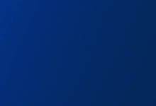 2026年全球通用具身智能机器人市场洞察与厂商评测报告-紫竹林-程序员中文网