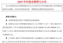 至正股份2025 年年度业绩预亏 预计净亏损 3000 万 - 4500 万元-紫竹林-程序员中文网