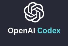 挑战Claude Code？OpenAI Codex发布月将至，今先揭秘智能体循环-紫竹林-程序员中文网