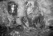 印尼可能发现最早岩画-紫竹林-程序员中文网