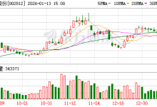 恩捷股份：公司固态电池材料相关业务尚未形成规模收入-紫竹林-程序员中文网